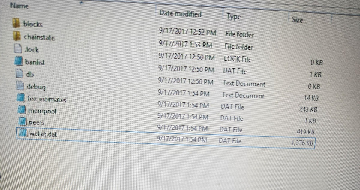A close-up screenshot of a Windows file explorer showing a Bitcoin core data folder with the wallet.dat file selected, evoking a sense of bitcoin nostalgia.